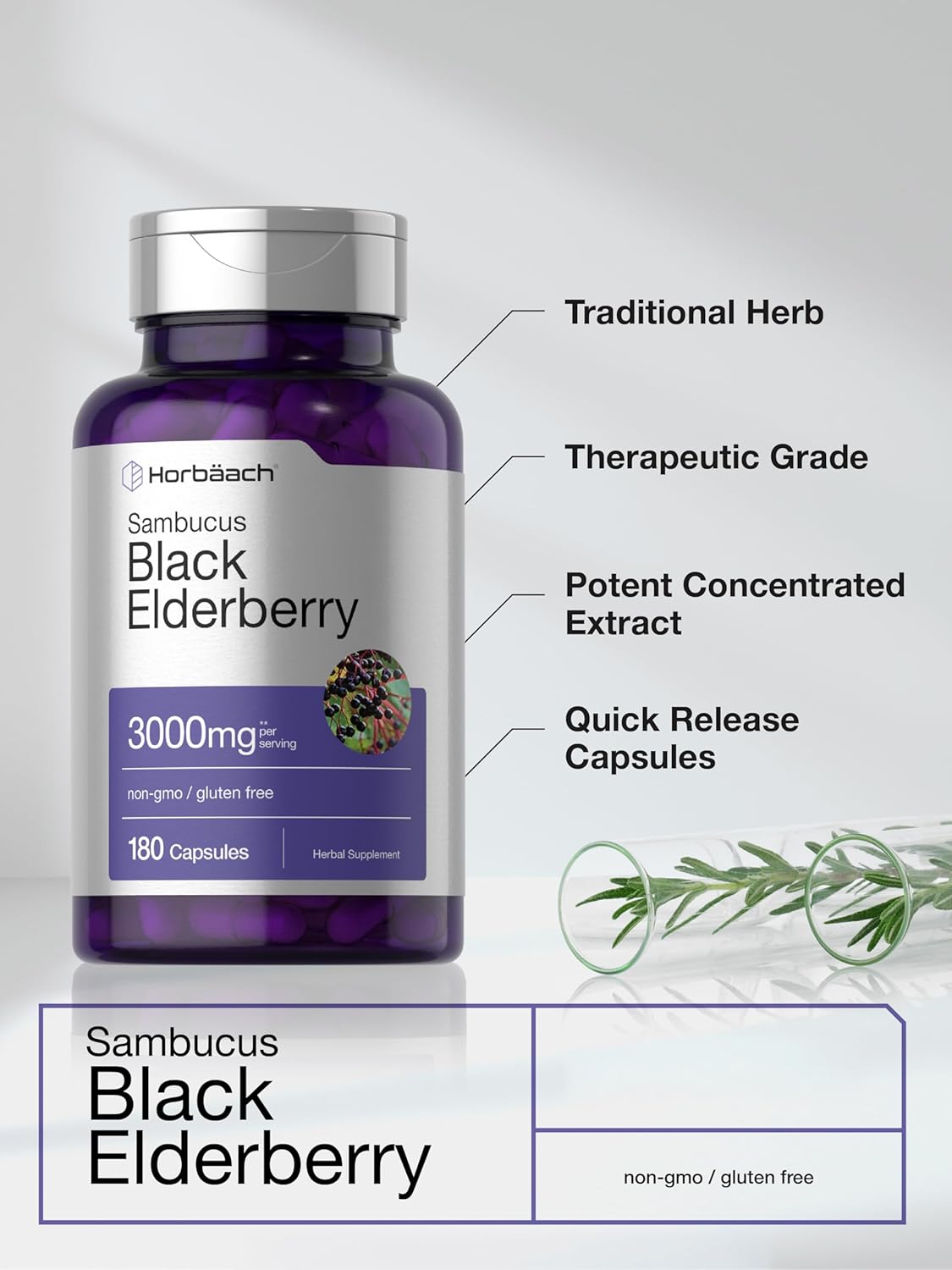black elderberry capsules close up bottle