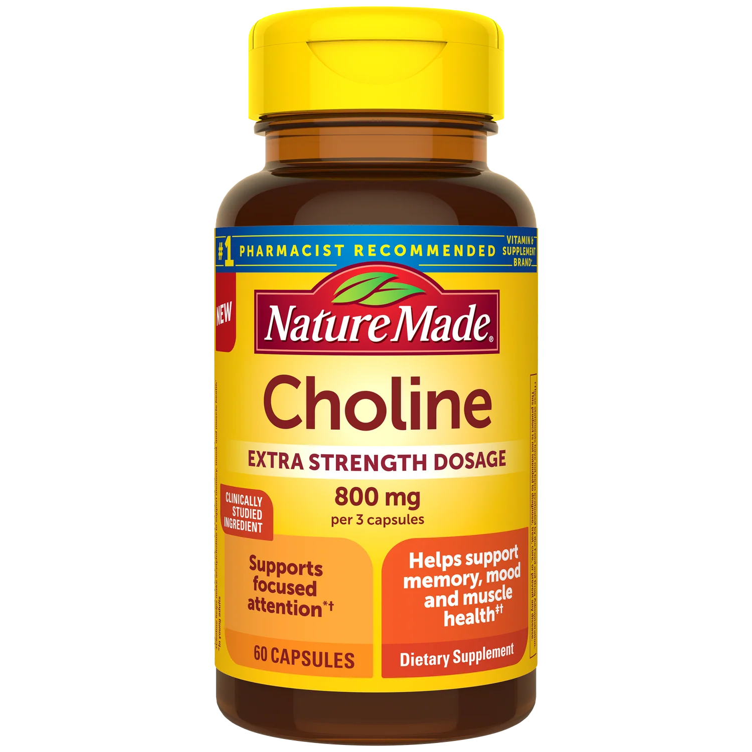 Nature Made Choline supplement bottle with yellow cap on a white background. Nature Made Choline Extra Strength 800mg capsules bottle