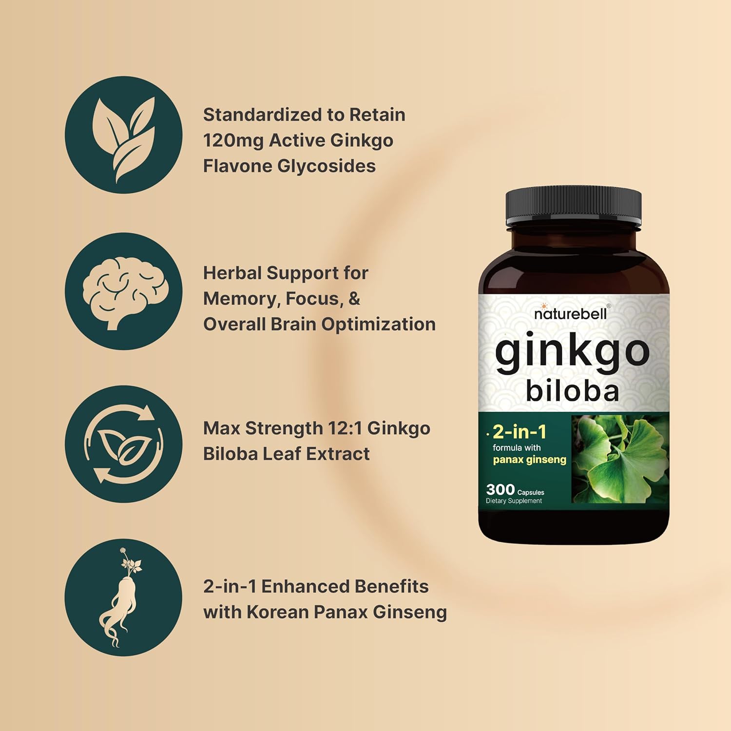 ginkgo biloba extract brain health supplement