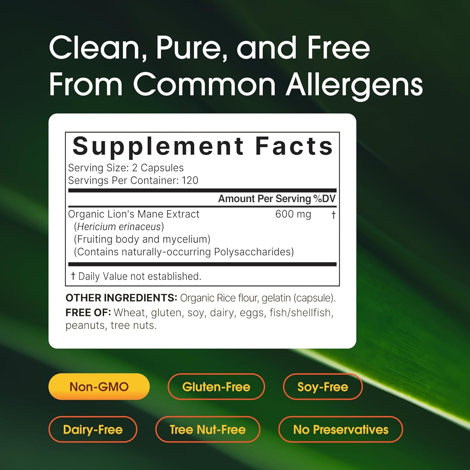 lions mane supplement capsules herbal formula