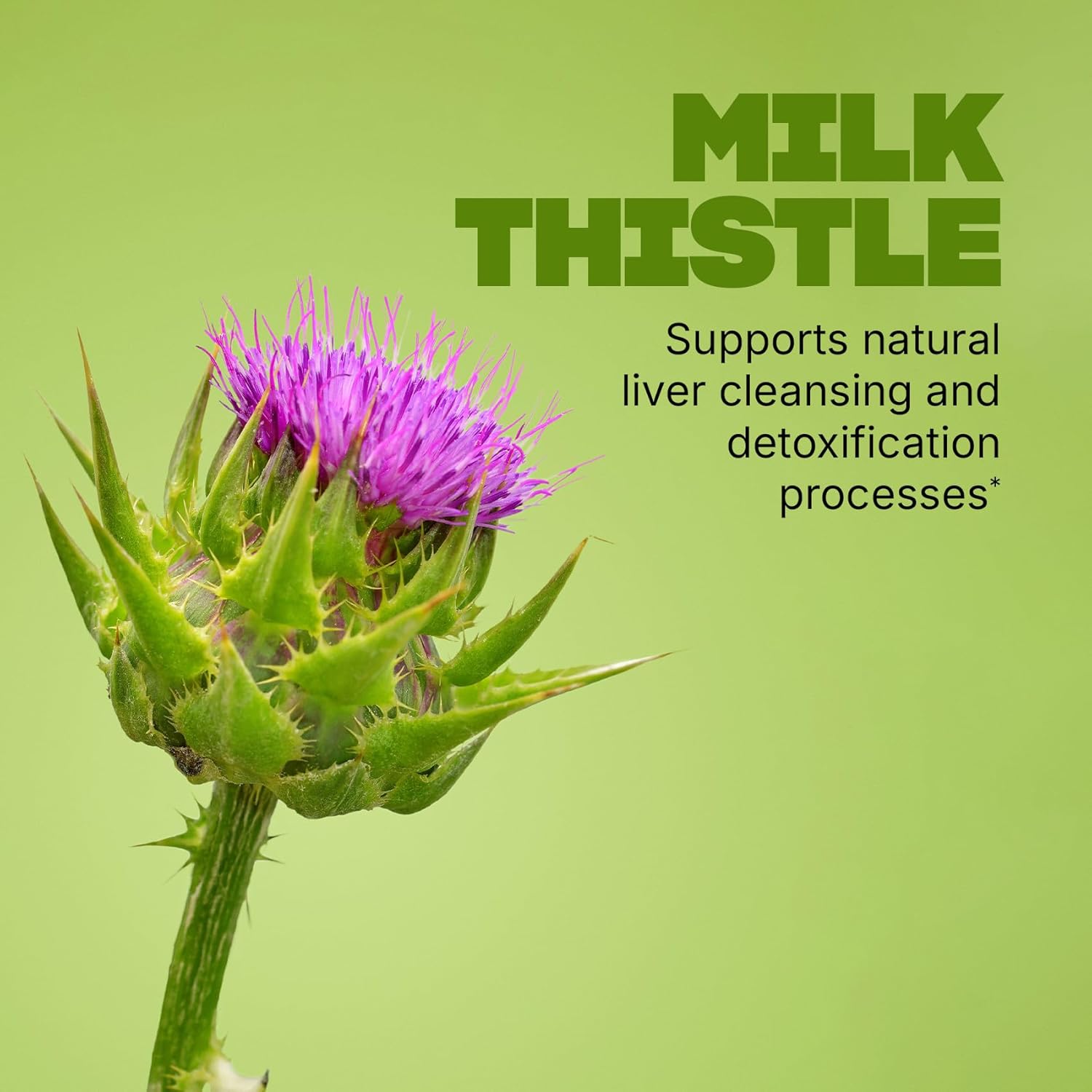vegan milk thistle tablets close up product